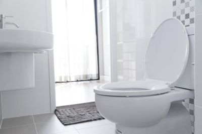 Modern Toilet and Bidet