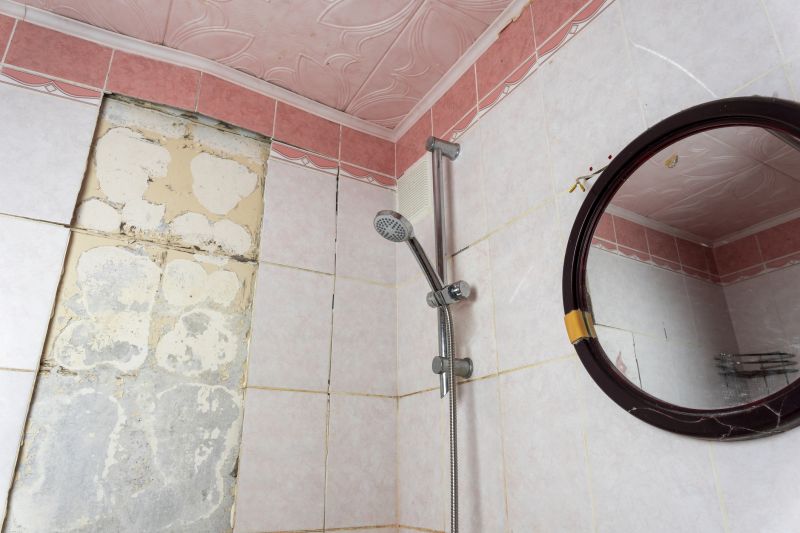 Top Shower Remodeling Companies in Roseville, MI