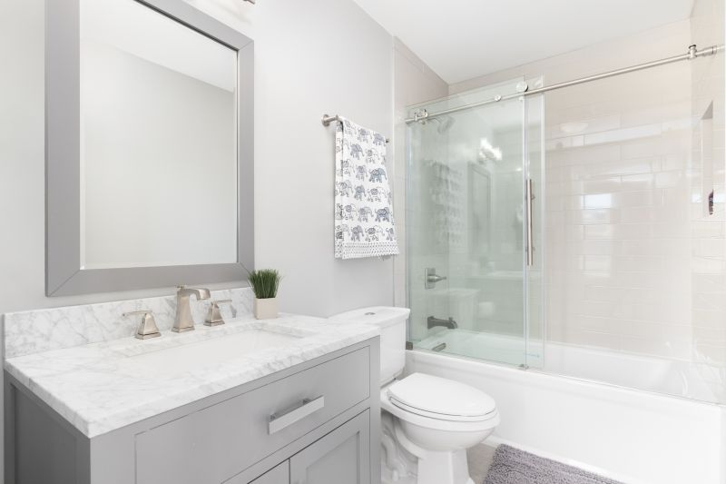 Top Tub To Shower Conversion Companies in Roseville, MI